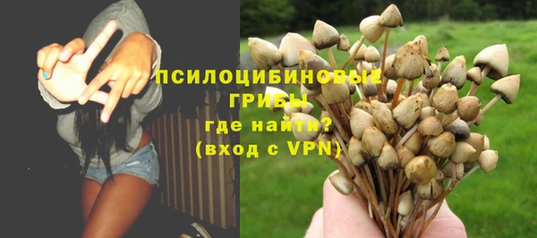 ГАЛЛЮЦИНОГЕННЫЕ ГРИБЫ Абдулино