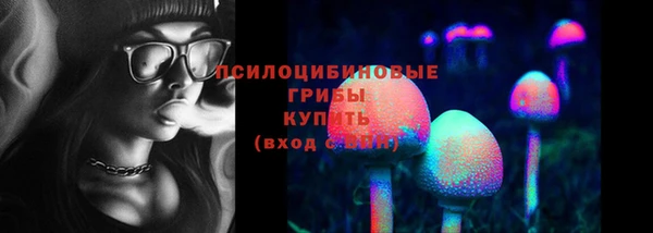 ГАЛЛЮЦИНОГЕННЫЕ ГРИБЫ Абдулино