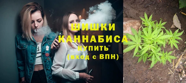 ГАЛЛЮЦИНОГЕННЫЕ ГРИБЫ Абдулино