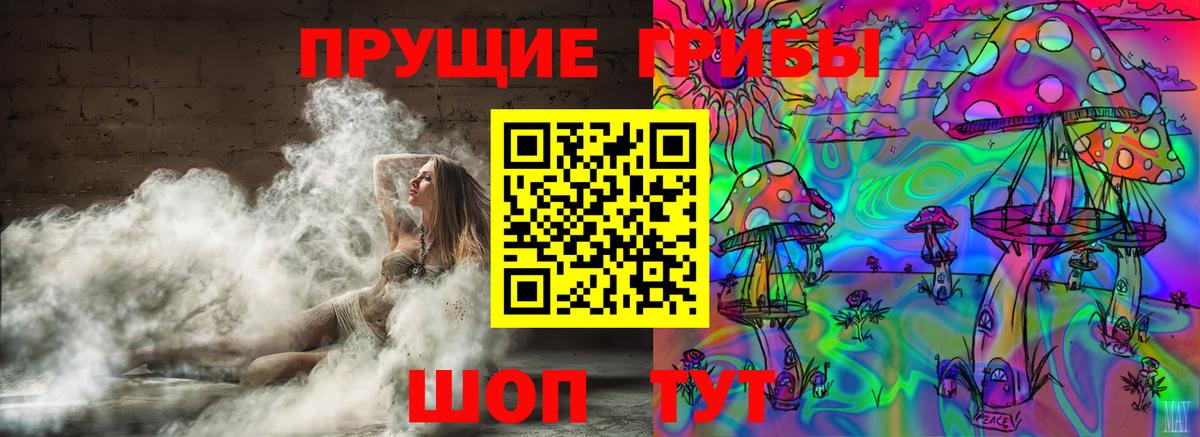 Псилоцибиновые грибы мицелий Кострома
